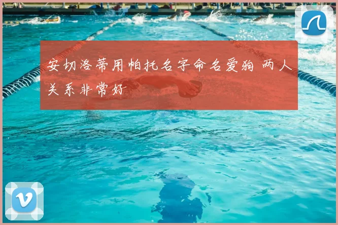 安切洛蒂用帕托名字命名爱狗 两人关系非常好