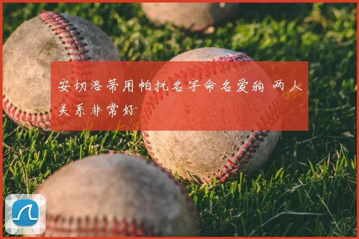 安切洛蒂用帕托名字命名爱狗 两人关系非常好