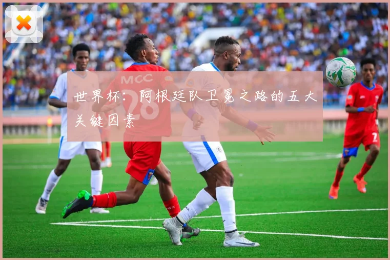 世界杯：阿根廷队卫冕之路的五大关键因素